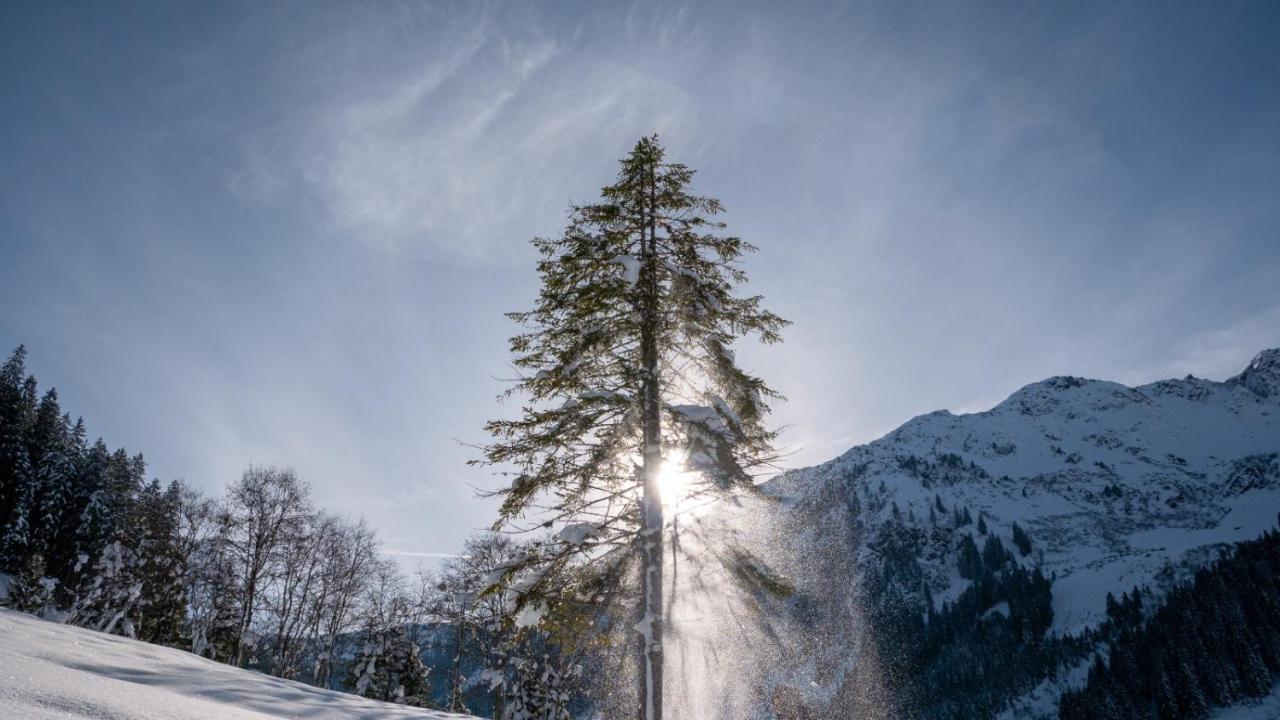 Silber Lodge Im Wiesenstein Auffach Exteriér fotografie