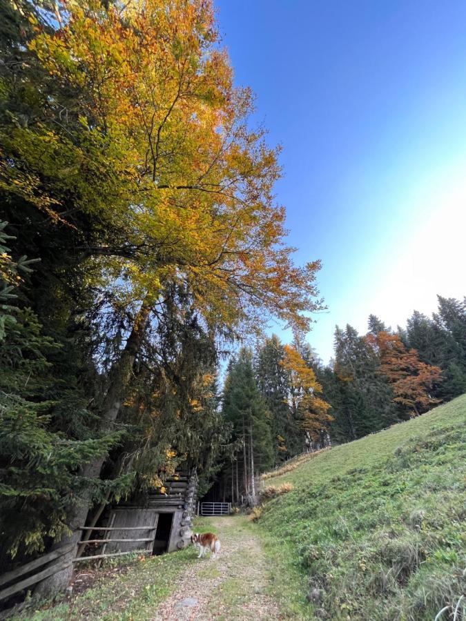 Silber Lodge Im Wiesenstein Auffach Exteriér fotografie